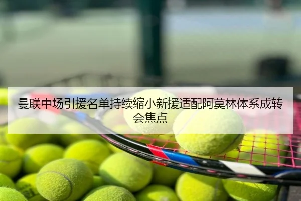 曼联中场引援名单持续缩小新援适配阿莫林体系成转会焦点